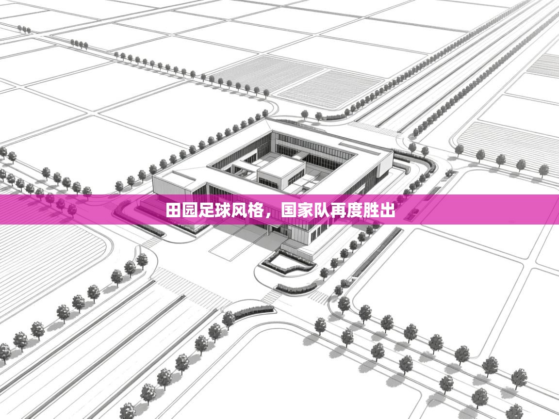 田园足球风格，国家队再度胜出  第2张